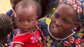 Les chances de survie