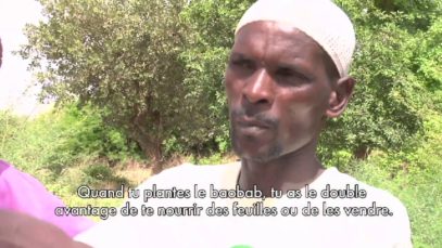 La Régénération Naturelle Assistée