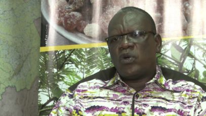 La Grande Muraille Verte