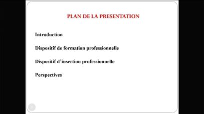 Journée mondiale des Micros, Petites et Moyennes entreprises : Le Burkina célèbre la contribution des PME du secteur de l’artisanat￼